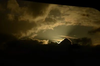 DSC_1355 (Large).JPG